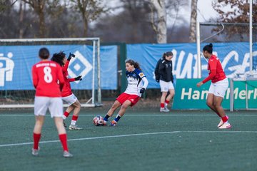 Bild 291 - wBJ Hamburger SV - Holstein Kiel : Ergebnis: 8:0